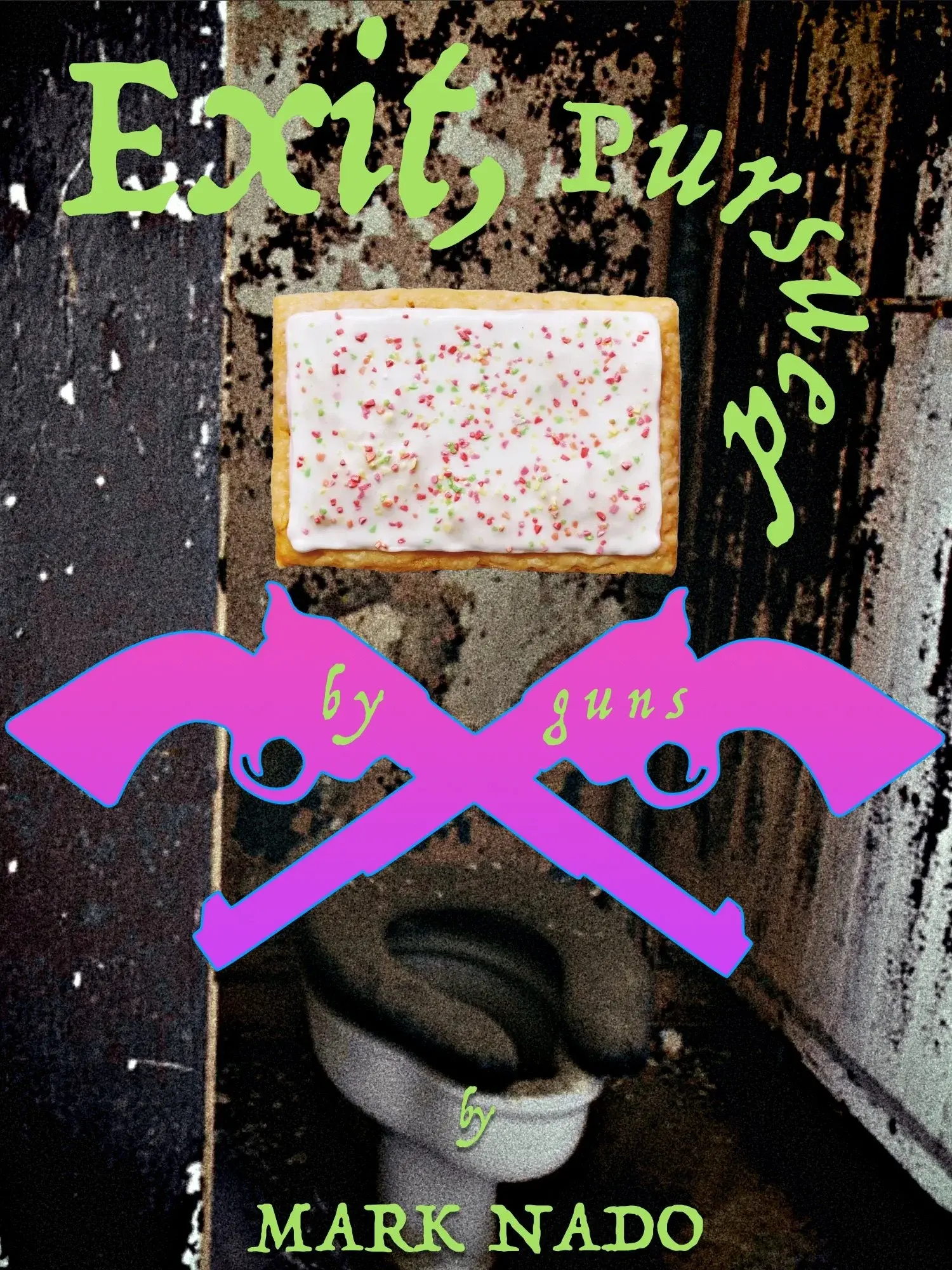Exit, Pursued by Guns cover