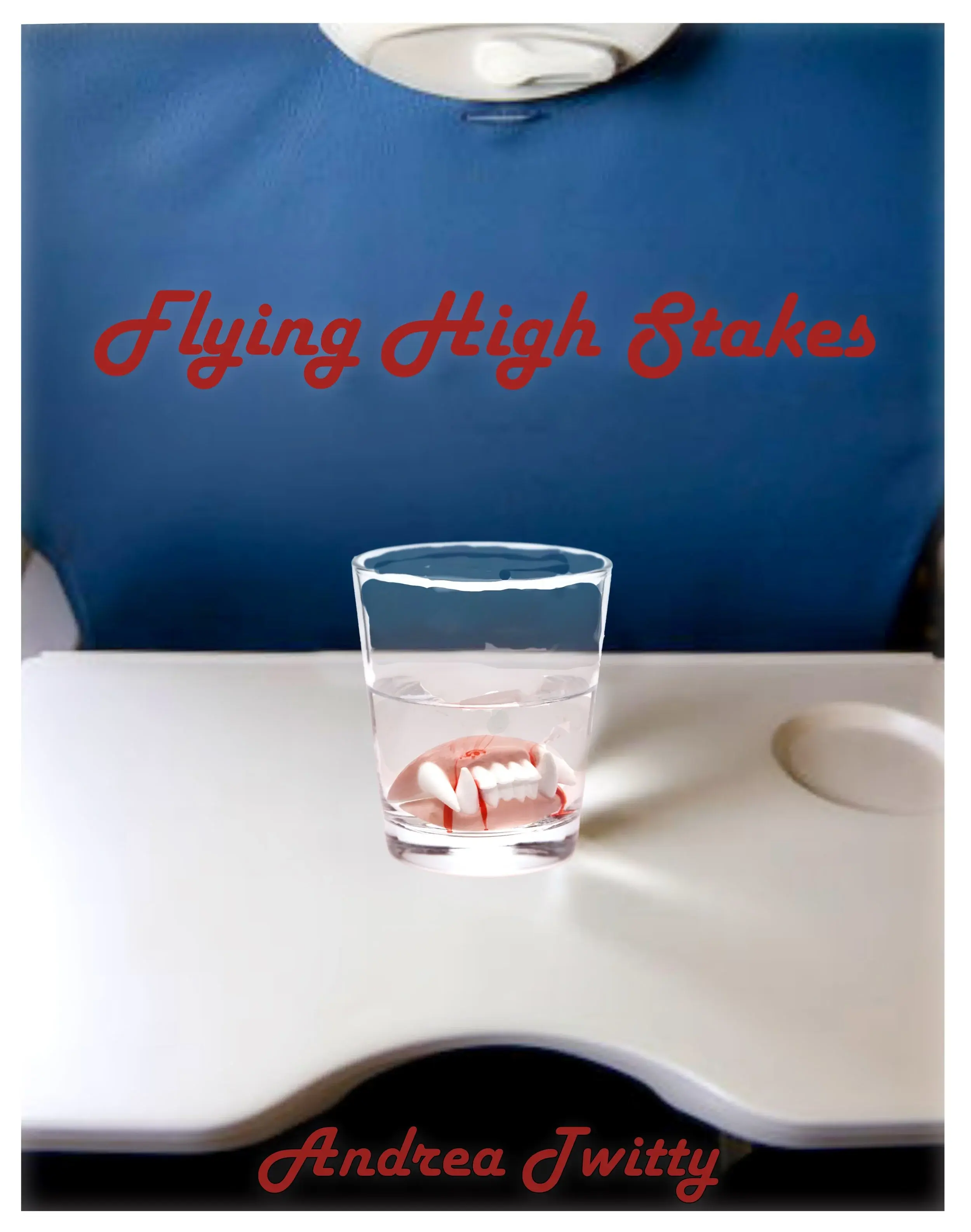 Flying High Stakes cover